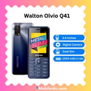 Walton Olvio Q41