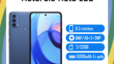 Motorola Moto E30 Price in USA