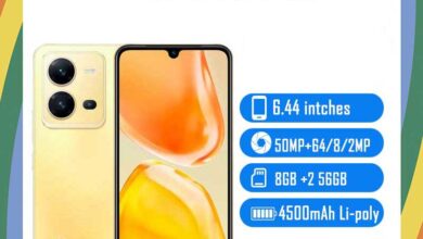 Vivo X80 Lite Price in USA