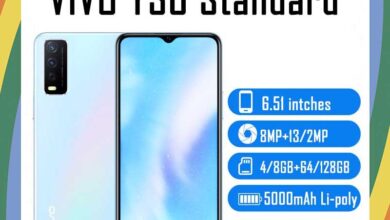 vivo Y30 Standard Price in USA