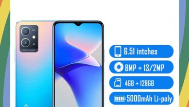 Vivo Y33e Price in USA