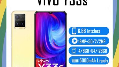 vivo Y33s Price in USA