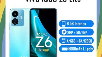 Vivo iQOO Z6 Lite Price in USA